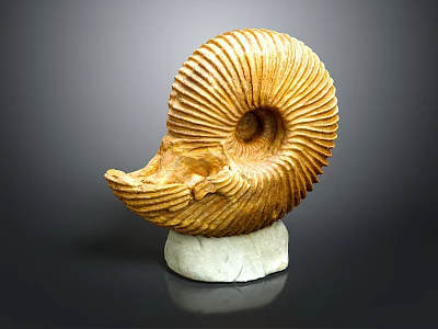 Decorative Household Spiral Ammonite Fossil Ornament With White Marble Stand 3d model