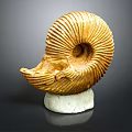 Chi chrysanthemum stone ancient fossil stone chrysanthemum fossil items 3d model