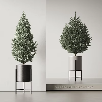 Bonsai Plant with Green Foliage in Black and White Pots on Metal Stand 3d model