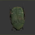 Green Beetle as a Flying Insect with Shiny Exoskeleton and Detailed Features 3d model