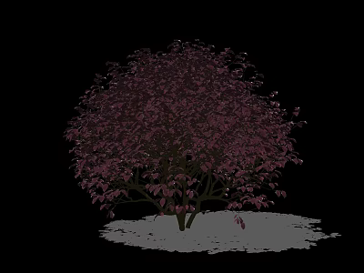 Arbor With Purple Red Leaves And White Base On Black Background 3d model