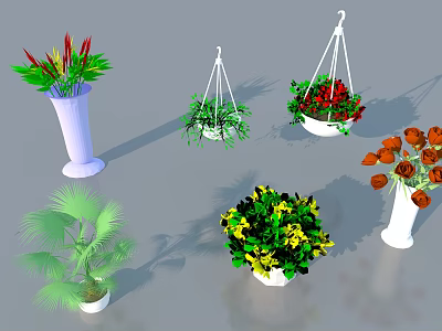Various Vases With Colorful Flowers And Hanging Pots In Different Styles 3d model