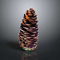 Vibrant Layered Pinecone With Orange And Purple Scales On Dark Background