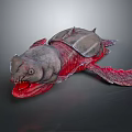 Modern sea turtle Prehistoric sea turtle Snapping turtle Big sea turtle 3d model