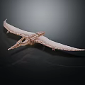 Creative Building Blocks Pterosaur Model With Intricate Structure And Extended Wings 3d model