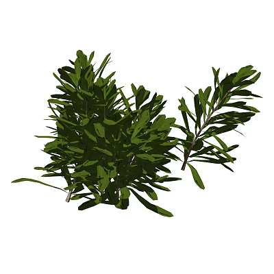 Modern shrubs 3d model