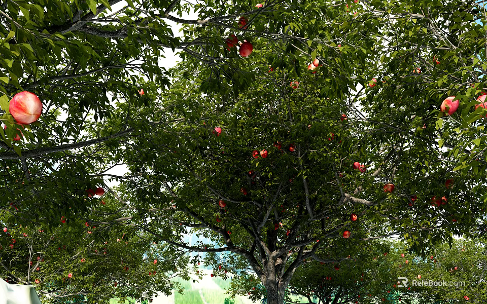 Tall Tree With Lush Green Leaves And Red Fruits In Garden Landscape 3d model 