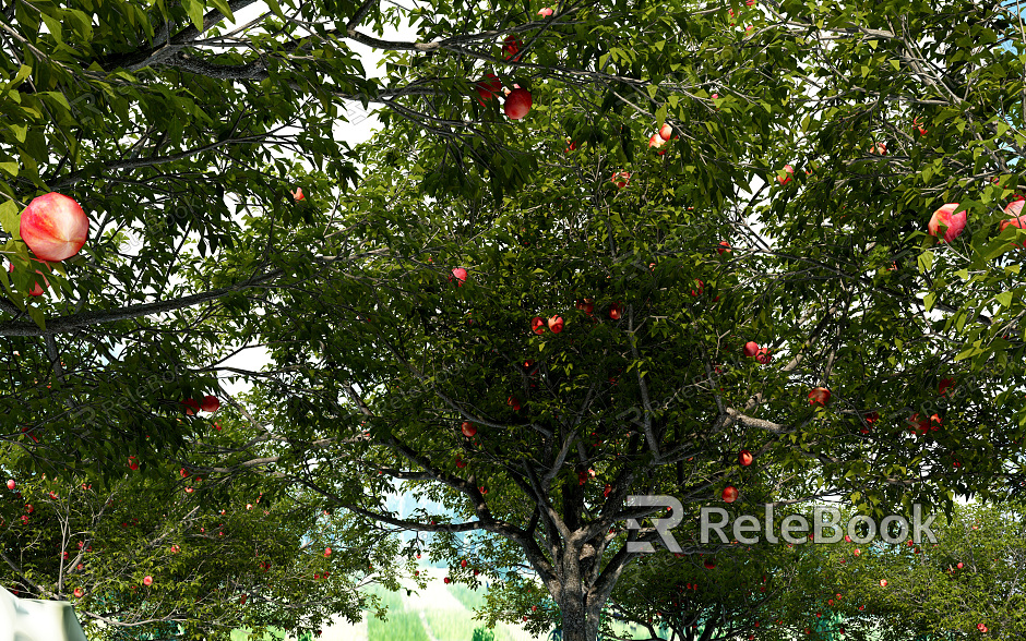 Modern Fruit Orchard model