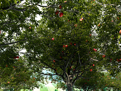 Modern Fruit Orchard model