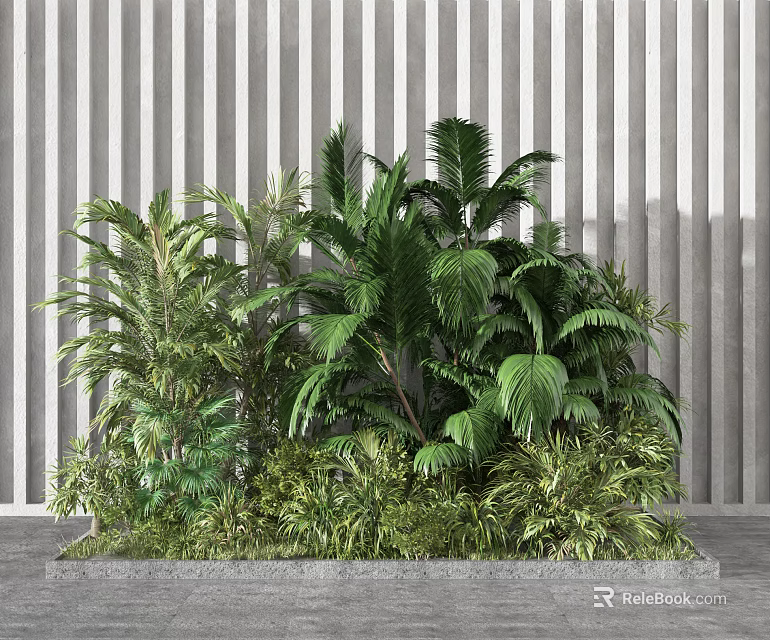 Lush Indoor Garden With Various Green Plant Species And Tropical Foliage 3d model 