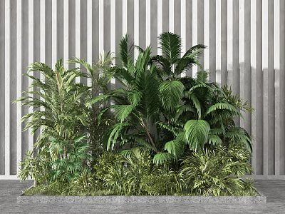 Lush Indoor Garden With Various Green Plant Species And Tropical Foliage 3d model
