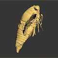 Golden Bee Shiny Metallic Sculpture With Detailed Wings And Body On Dark Reflective Surface