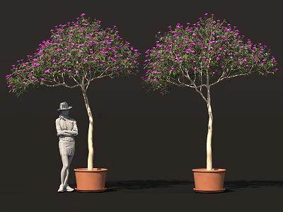Two Trees With Purple Flowers In Brown Pots Beside Person Wearing Hat 3d model