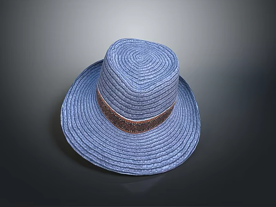 Blue Woven Straw Hat With Brown Decorative Band Summer Fashion Accessory 3d model