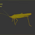 grasshopper insect cartoon locust animation locust anime locust anime game character 3d model