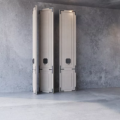 Modern Light Wood Room Divider Doors With Metal Hinges Against Gray Wall 3d model