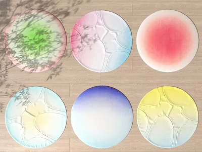 Colorful Circular Textured Wall Decor with Leaf Shadows and Gradient Hues 3d model