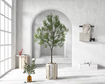 Bonsai Tree in Wooden White Pot Modern Interior with Gray Wall Archway and Window 3d model