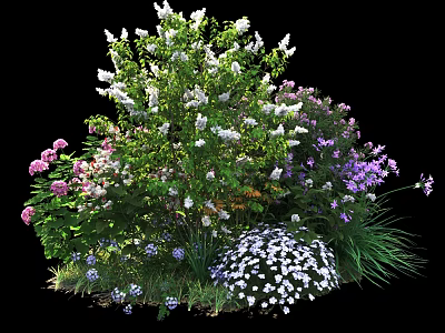 Colorful Flowering Shrubs With White Pink Purple Blooms And Green Foliage 3d model