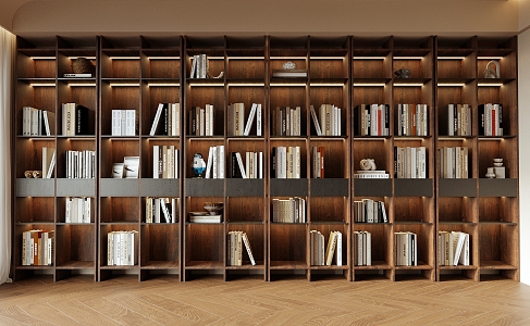 Bookcase Books Whole Wall Cabinet 3d model