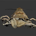 Aquatic Animal Lobster with Brown Shell Large Claws and Long Antennae in 3D Model