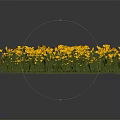 Vibrant Yellow Flowering Plants with Green Leaves in Lush Fresh Cluster