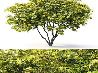 Decorative Ornament Set Featuring Green Leaf Tree and Lush Foliage for Home Decor 3d model