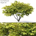 Decorative Ornament Set Featuring Green Leaf Tree and Lush Foliage for Home Decor