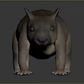 Realistic 3D Wombat Model With Brown Fur Stocky Body And Short Legs