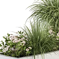 Rectangular White Wooden Planter With Green Grasses And White Flowers For Indoor Outdoor Container Garden