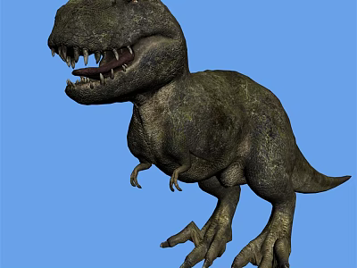 Reptile Tyrannosaurus Rex Dinosaur with Sharp Teeth and Strong Body on Blue Background 3d model