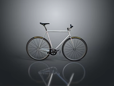 Sleek Modern Bicycle With Silver Frame Black Seat And Reflective Surface 3d model