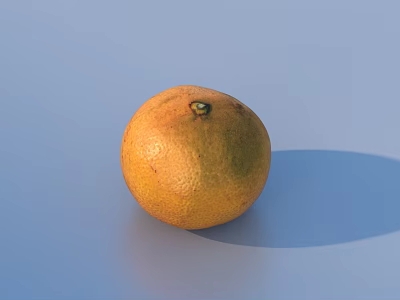Fresh Bright Orange Fruit With Speckled Skin On Blue Background And Shadow 3d model