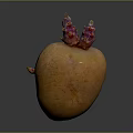 Orange root vegetable with purple red sprouts on top placed on smooth gray surface