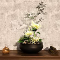 Elegant Bonsai Potted Plant With Yellow Flowers Green Leaves on Wooden Cabinet Against Concrete Wall