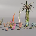 Various Types Of Succulent Plants And Cacti With Stones For Indoor Decor