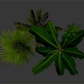 Vibrant Potted Tropical Plants With Large Green Leaves And Various Types In Orange Black Pots