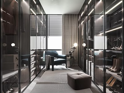 Elegant Modern Walk In Closet Interior Design With Glass Door Cabinets Hanging Clothes And Lighting 3d model