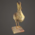 Detailed View of Brown and White Wading Bird Standing on Stone Base