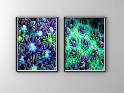 Two Coral Landscape Paintings With Purple Green Blue Coral Details On White Wall 3d model