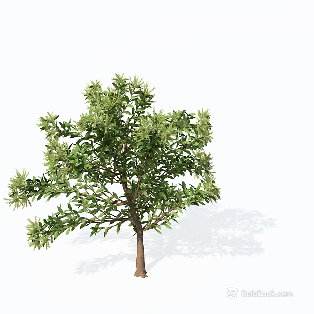 Lush Green Shrub With Dense Foliage And Brown Trunk For Garden Landscaping 3d model 