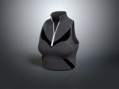 Black Sleeveless High Neck Top With Front Zipper And Fitted Design 3d model