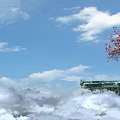 Pink Flowering Arbor Standing On Cliff With Blue Sky White Clouds And Sea Of Clouds