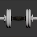 Stainless Steel Dumbbell With Weight Plates And Non Slip Grip For Fitness Training