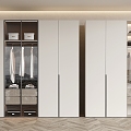 Wardrobe Flat Door Wardrobe Decorative Cabinet Locker 3d model