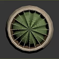 Green Cactus Plant with Spiky Thorns in Terracotta Pot on Dark Reflective Surface