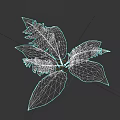 Vibrant Green Fern Plant Featuring Lush Feathery Fronds For Home Decor