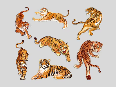 tigers white tigers fierce tigers northeast tigers south china tigers wild tigers 3d model