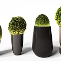 Potted Bonsai Plants In Various Shaped Black And Copper Pots With Round Green Foliage