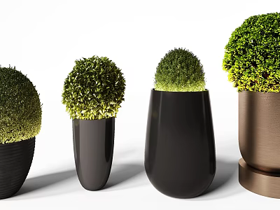 Potted Bonsai Plants In Various Shaped Black And Copper Pots With Round Green Foliage 3d model
